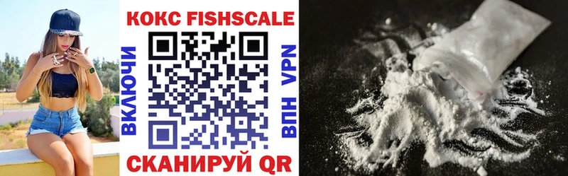 Cocaine FishScale  Купить закладки  Шумиха 