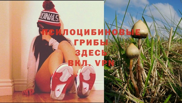 прущая мука Зерноград